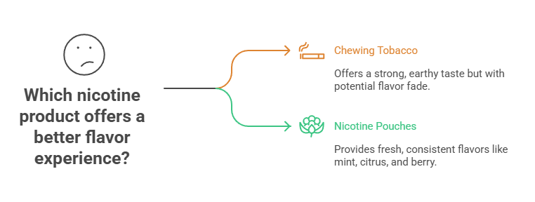 Nicotine Pouches vs Chewing Tobacco 3 Which nicotine product offers a better flavor experience
