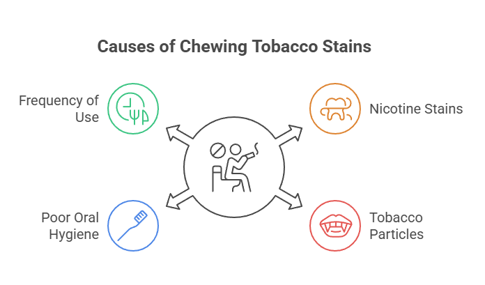 How to Remove Chewing Tobacco Stains From Teeth 2 Causes of Chewing Tobacco Stains