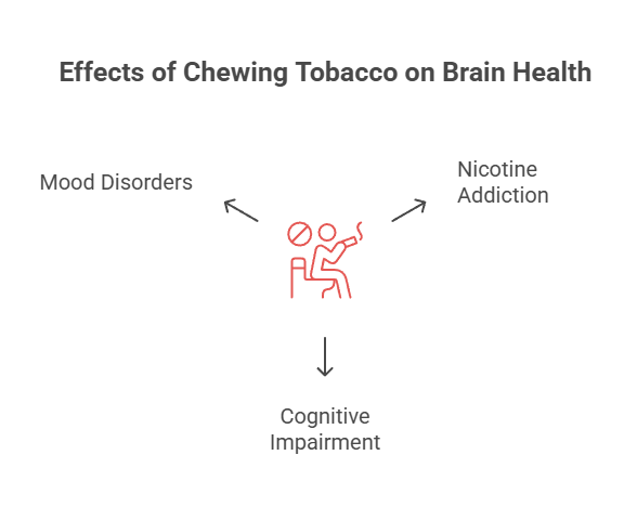 The Effects of Chewing Tobacco on the Brain 2 Effects of Chewing Tobacco on Brain Health