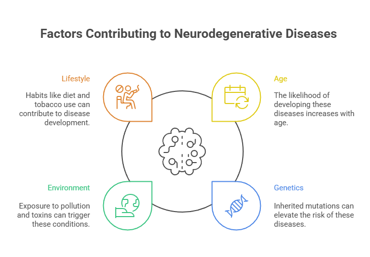Factors Contributing to Neurodegenerative Diseases