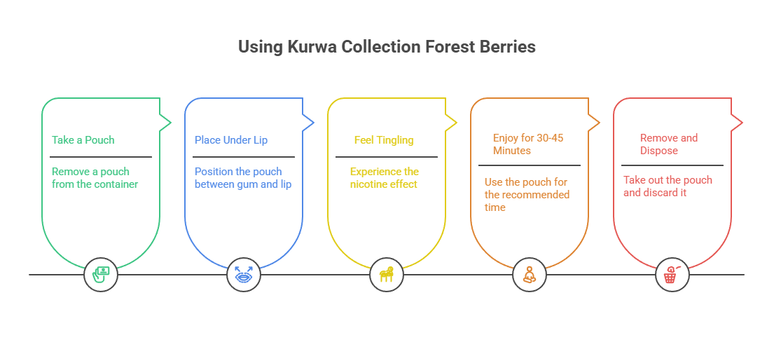 Kurwa Collection Forest Berries 25mg Nicotine Pouches 3 Using Kurwa Collection Forest Berries