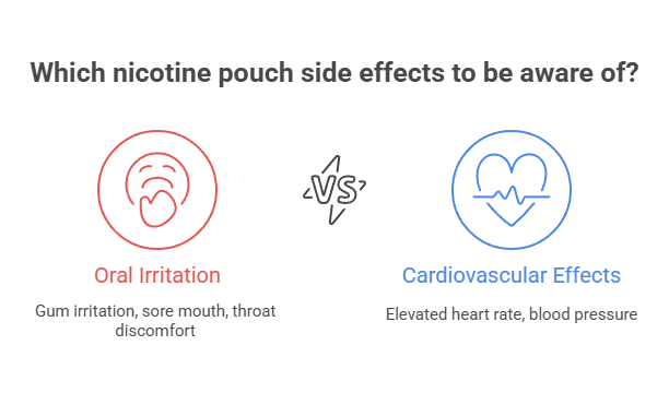 Zolt vs Zyn: What Brand Is the Best Choice? 27 Which nicotine pouch side effects to be aware of