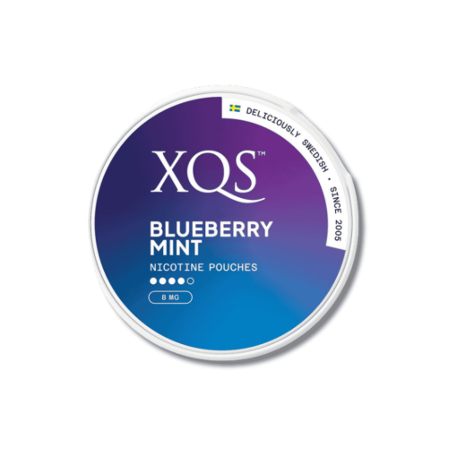 XQS Blueberry Mint 8mg Nicotine Pouches