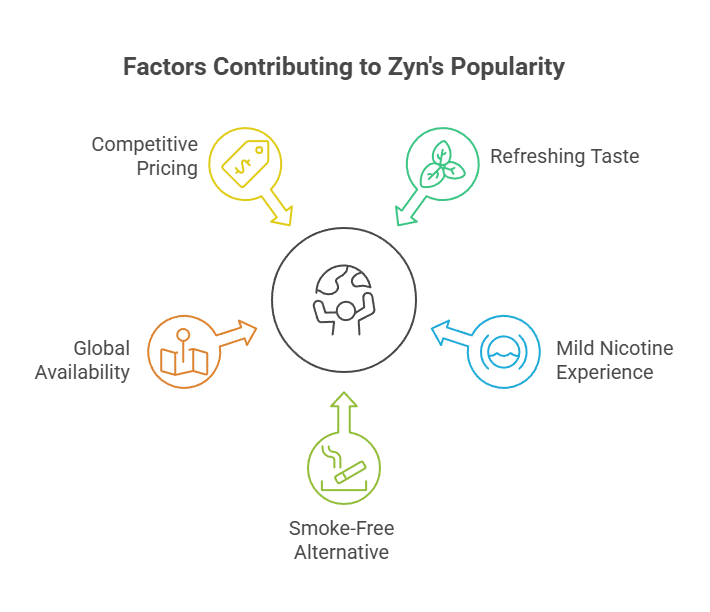 Factors Contributing to Zyn's Popularity