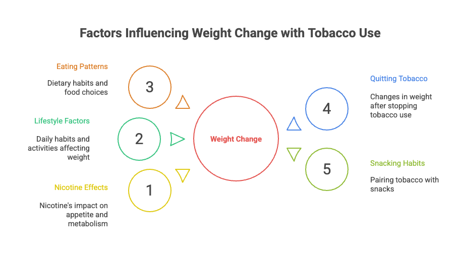 Does Chewing Tobacco Make You Lose Weight? 2 Factors Influencing Weight Change with Tobacco Use
