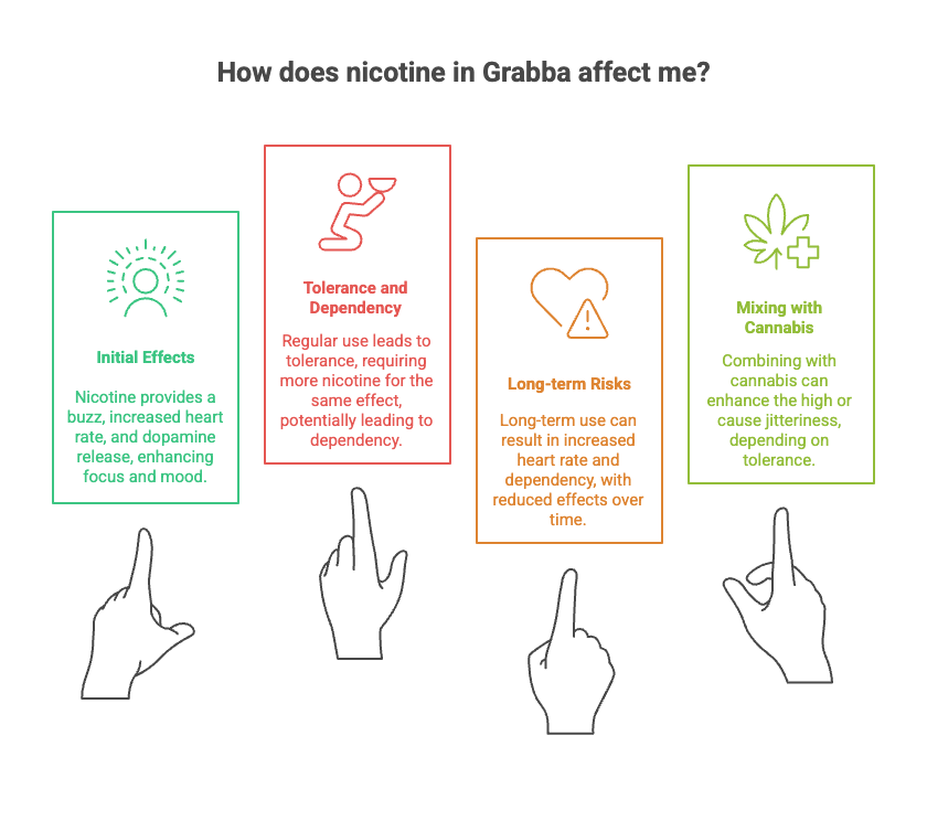 Does Grabba Have Nicotine? 3 How does nicotine in Grabba affect me?