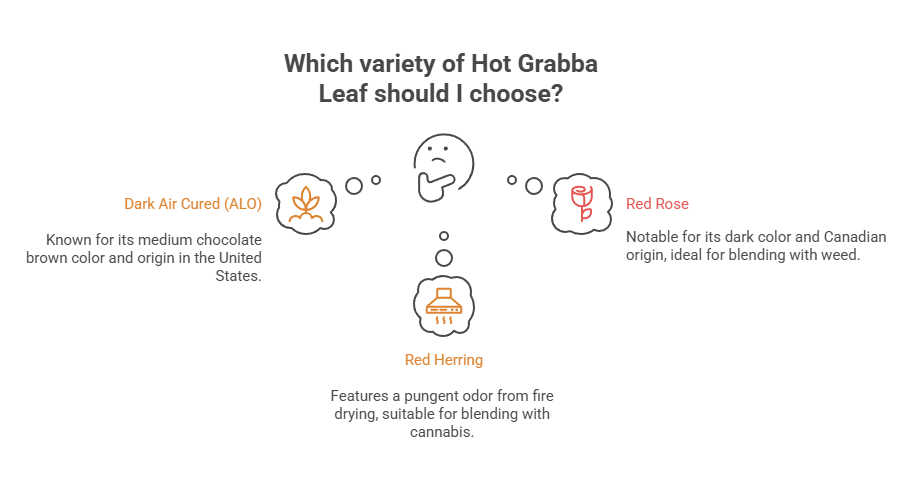 What Is Grabba Leaf and What Are the Side Effects? 14 Which variety of Hot Grabba Leaf should I choose