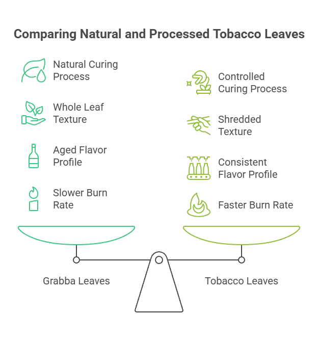 What Is the Difference Between Grabba and Tobacco? 2 Comparing Natural and Processed Tobacco Leaves