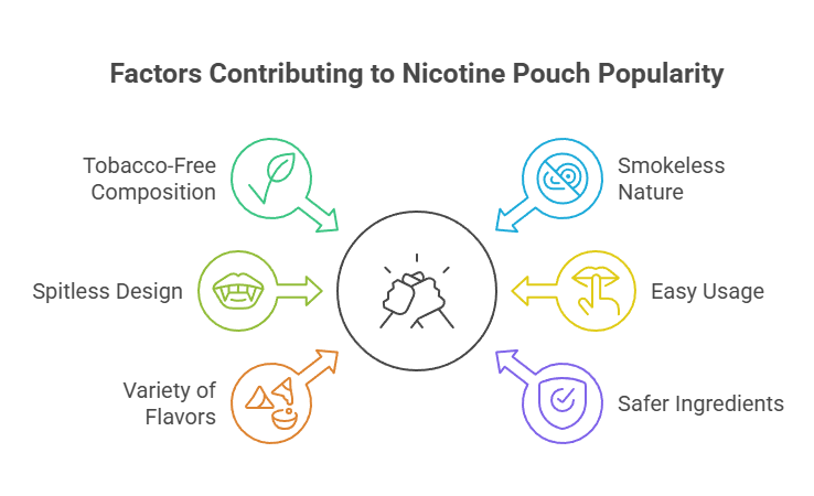 Pros and Cons of Nicotine Pouches 2 Factors Contributing to Nicotine Pouch Popularity