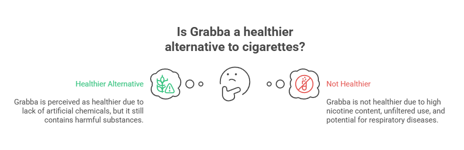 Is Grabba Better Than Cigarettes? 3 Is Grabba a healthier alternative to cigarettes