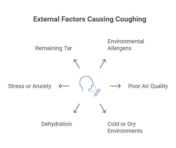 Why Do Vapes Make Me Cough? 4 External Factors Causing Coughing