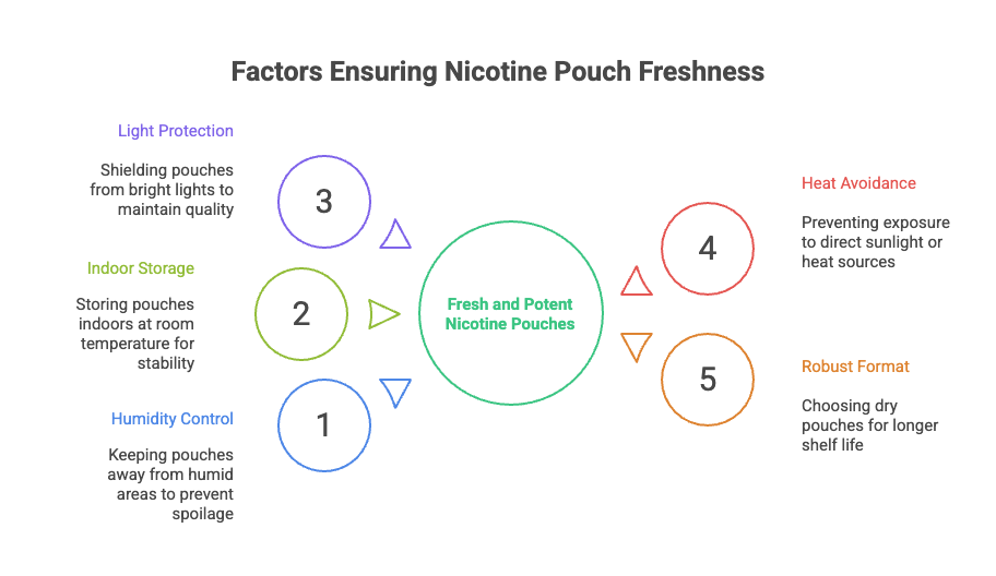 Do Nicotine Pouches Go Bad? 5 Factors Ensuring Nicotine Pouch Freshness