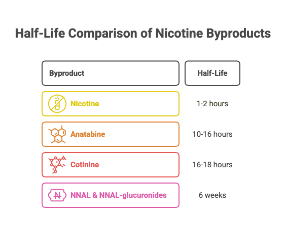 Do Nicotine Pouches Go Bad? 3 Half-Life Comparison of Nicotine Byproducts
