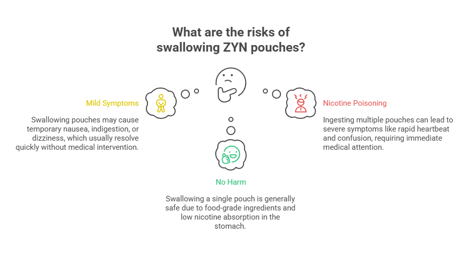 What Happens if You Eat a Zyn? 2 What are the risks of swallowing ZYN pouches