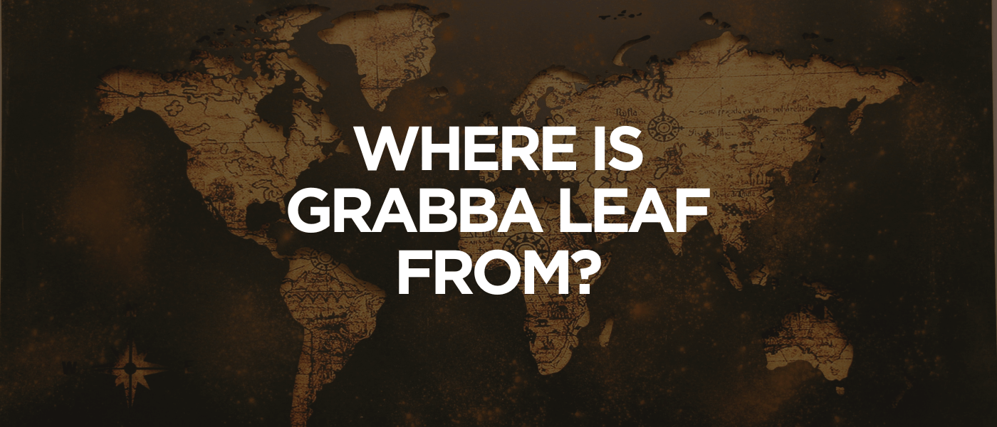 Where Is Grabba Leaf From