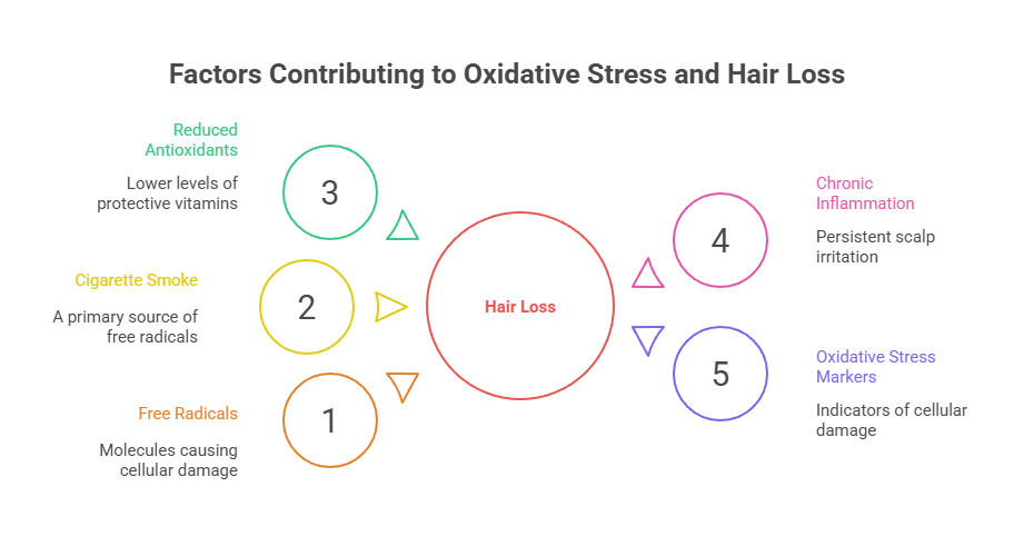 Do Cigarettes Cause Hair Loss? 4 Factors Contributing to Oxidative Stress and Hair Loss