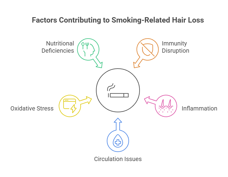 Do Cigarettes Cause Hair Loss? 25 Factors Contributing to Smoking-Related Hair Loss