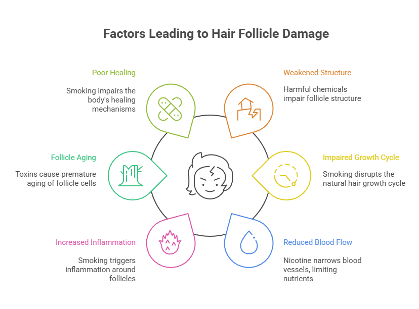 Do Cigarettes Cause Hair Loss? 3 Factors Leading to Hair Follicle Damage
