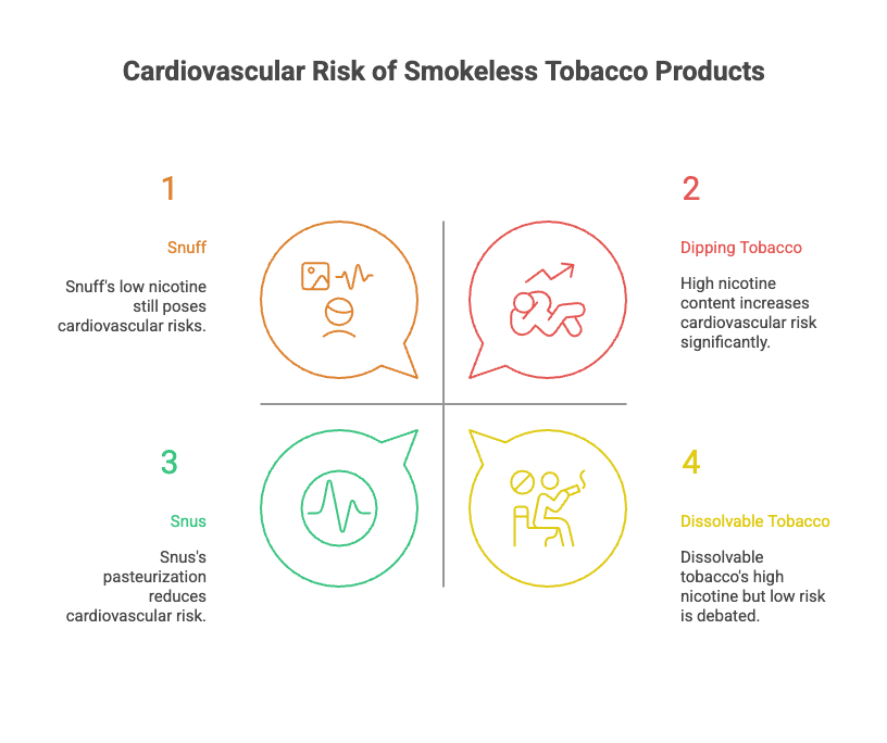 Effects of Dipping Tobacco on the Body 3 Cardiovascular Risk of Smokeless Tobacco Products