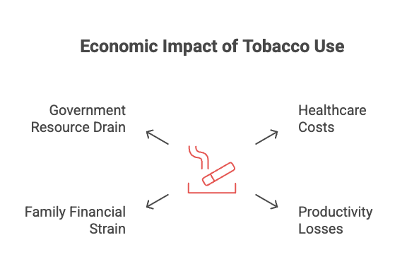 Effects of Dipping Tobacco on the Body 24 Economic Impact of Tobacco Use