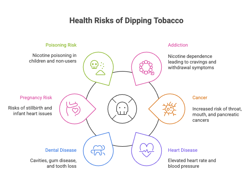 Effects of Dipping Tobacco on the Body 2 Health Risks of Dipping Tobacco