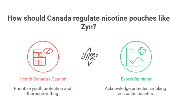 Was Zyn Banned? 2 How should Canada regulate nicotine pouches like Zyn